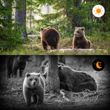 Advanced Night Vision Trail Camera