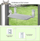 Cat Hammock Window