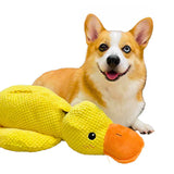 Calming Durable Duck