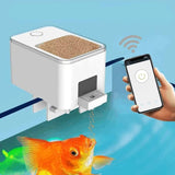 Automatic Food Feeder For Fish