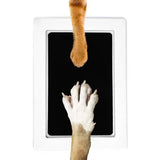 Dog Paw Print Kit