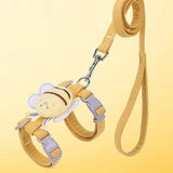 Cat Collar And Harness