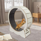 Cat Exercise Wheel