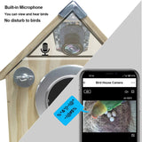 Bird Watching Nesting Feeder Nest Cam Box with Camera