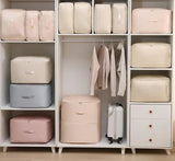 Compression Organizer Bag