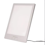 Adjustable Sunlight Style LED Lamp with USB Power
