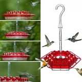 Ant-Proof Hummingbird Feeder with 30 Bee-Resistant Ports